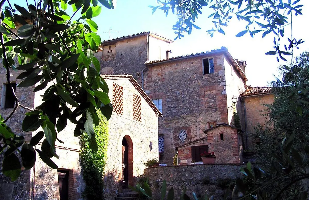 Il Pero Di Cetinale-1